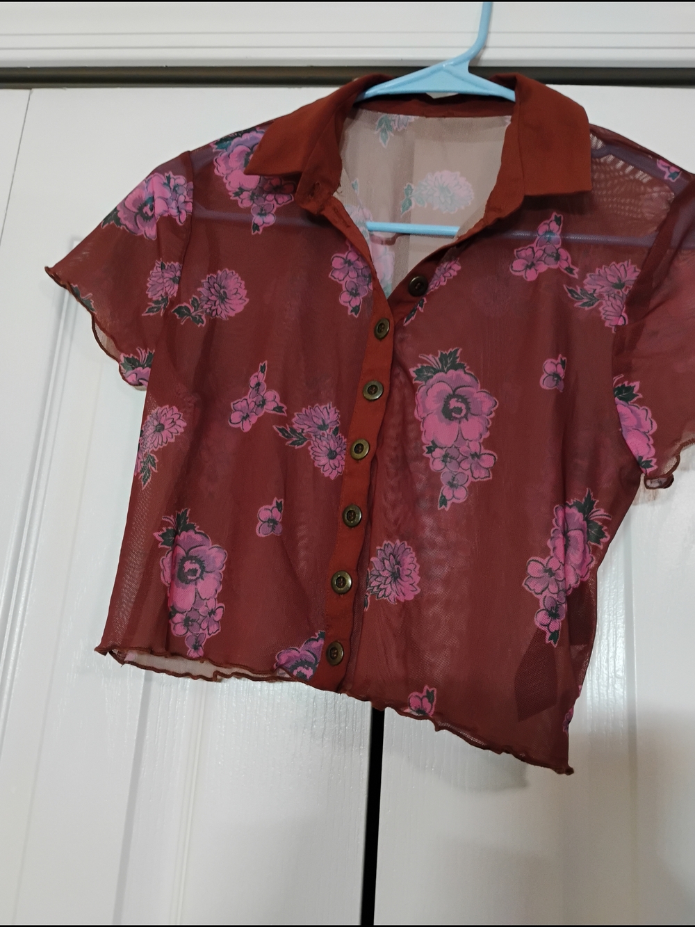Free People Sheer Rust Button-Up Top with Pink Floral Print - Picture 2 of 9
